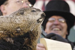 Punxsutawney Phil Makes His Annual Appearance Punxsutawney Phil Makes His Annual Appearance
