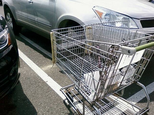 PIC-0309 shopping cart