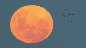 supermoon-2013 supermoon-2013