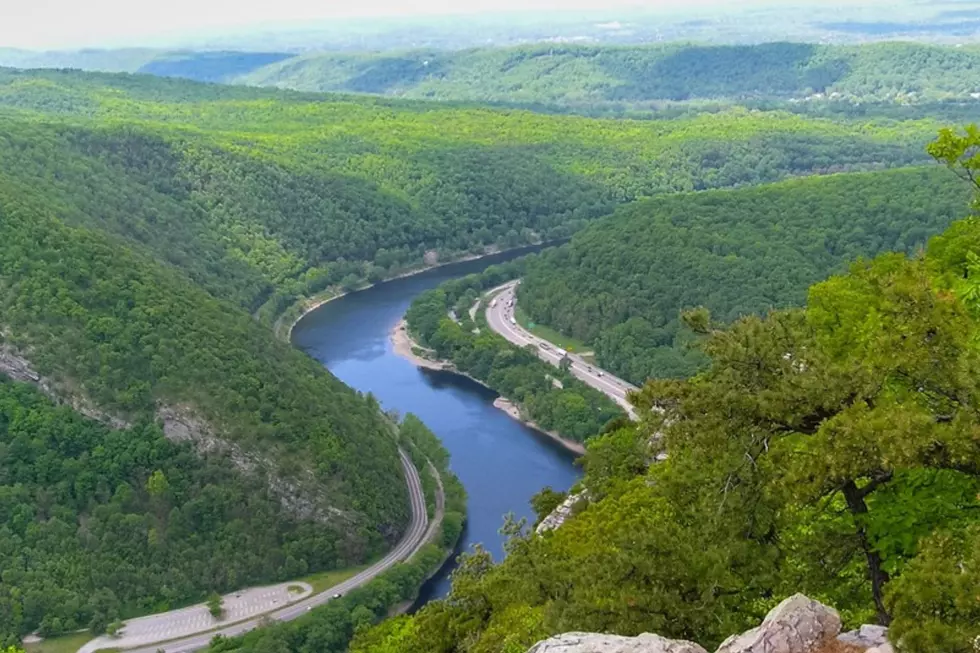 Elizabeth, NJ family picnic ends in tragedy after teen drowns at Delaware Water Gap