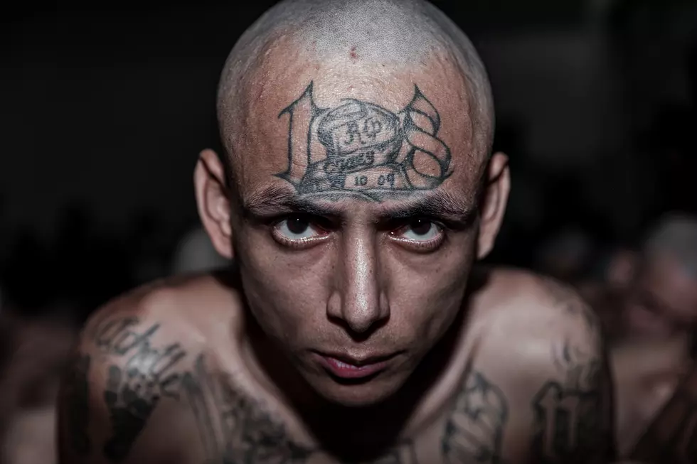 America’s Most Dangerous Gang is Taking Over New Jersey, New York and Pennsylvania