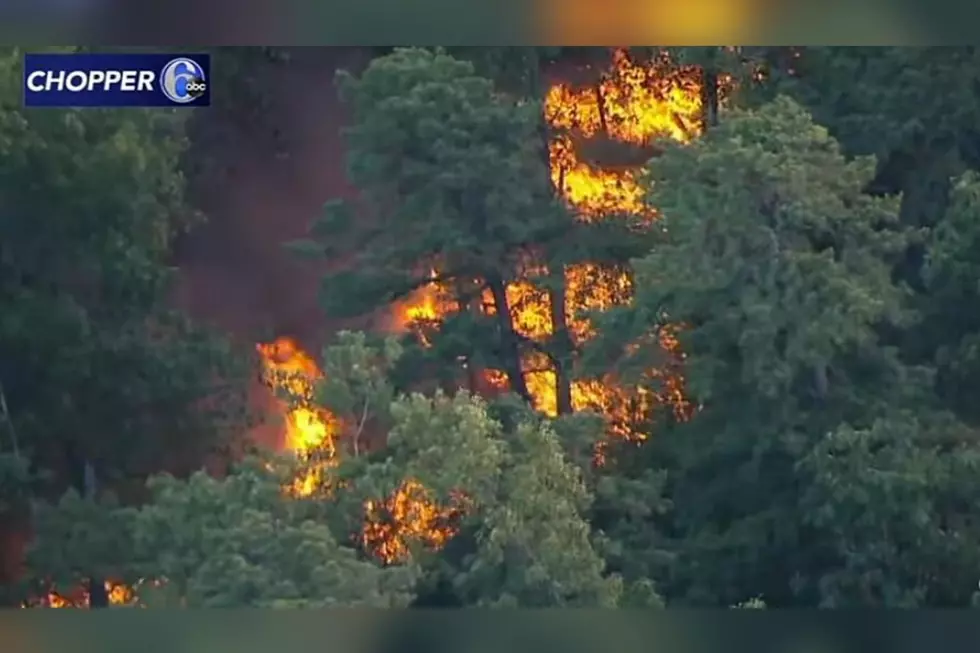 Natural Causes Ruled Out in Wharton State Forest Fire