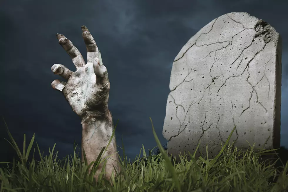 Beware: New Jersey is Home to a Zombie Snake